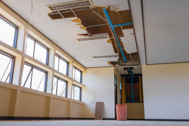 Best Professional water damage repair  in Kensington, CA