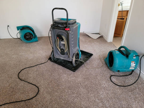 Best Residential water damage restoration  in Kensington, CA