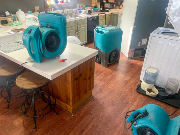 Best Water damage restoration services  in Kensington, CA