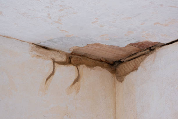 Best Water damage cleanup near me  in Kensington, CA