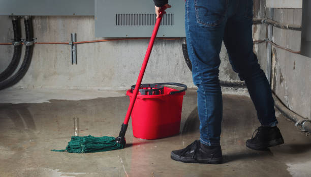 Best Local water damage restoration  in Kensington, CA