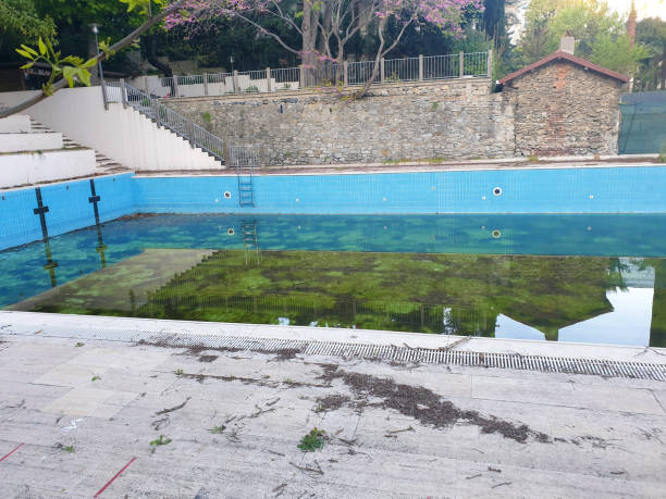 Best Flood restoration services  in Kensington, CA