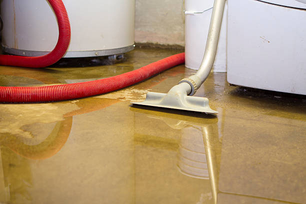 Best Water damage contractors near me  in Kensington, CA