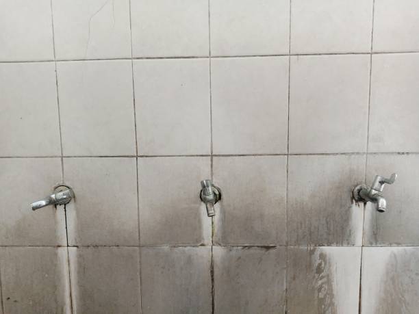 Best 24-hour water damage restoration  in Kensington, CA