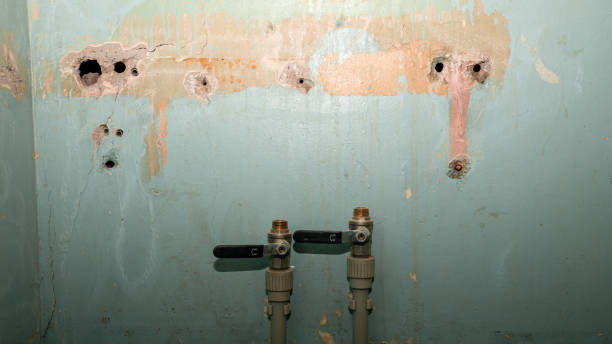 Best Flooded house restoration  in Kensington, CA