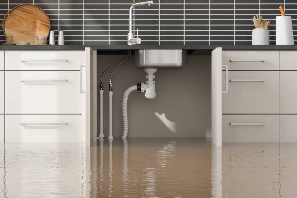 Best Mold removal after water damage  in Kensington, CA