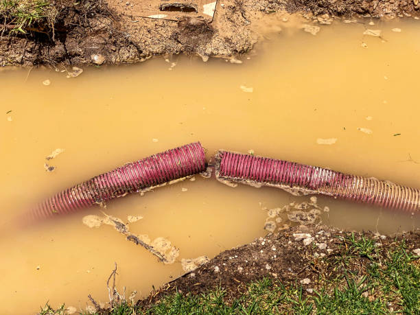 Best Water damage restoration near me  in Kensington, CA