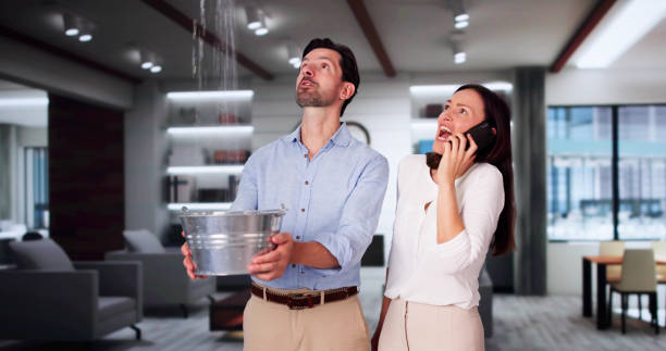 Best Ceiling water damage repair  in Kensington, CA